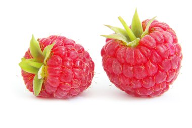 Raspberry clipart