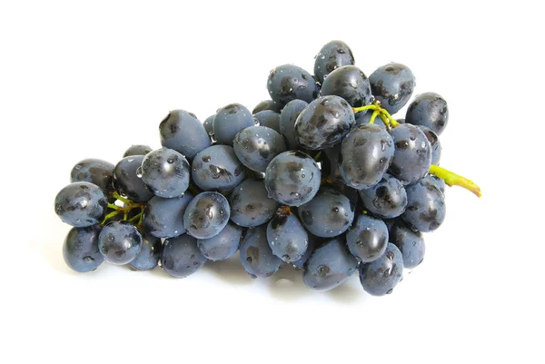 Ramo de uvas — Foto de Stock