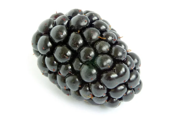 Blackberry — Stock Photo, Image