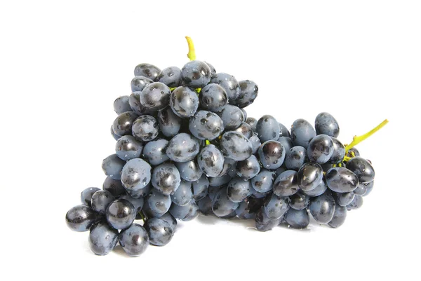 Branch of grapes — Stock Photo, Image