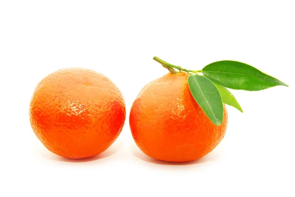Mandarina sobre blanco —  Fotos de Stock