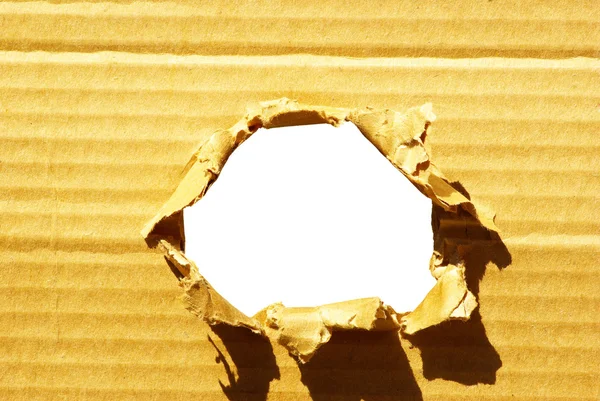 Hole in karton — Stockfoto