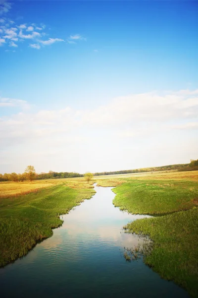 stock image Spring landscape