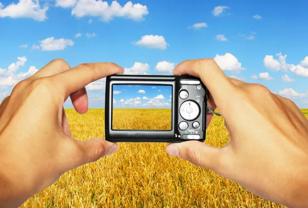 Wunderschöne Sommerlandschaft — Stockfoto