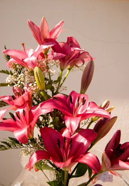Bouquet di gigli rosa — Foto Stock
