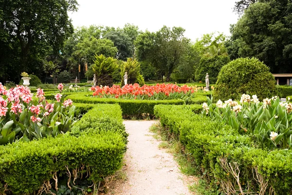 stock image The park in Lisbon