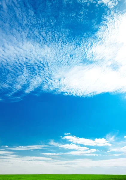 Parlak mavi gökyüzü ve taze yeşil çim alan — Stok fotoğraf