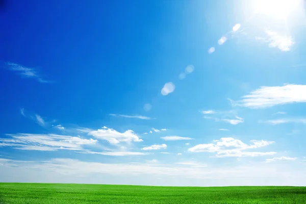 Campo de grama verde fresco e céu azul brilhante com o sol causando lente fl — Fotografia de Stock