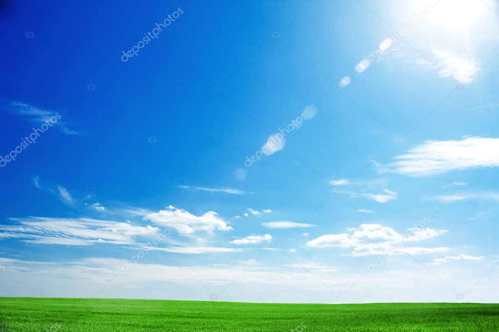 Field of fresh green grass and bright blue sky with the sun causing lens fl