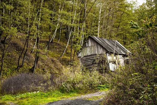 Old deserted house in the forest