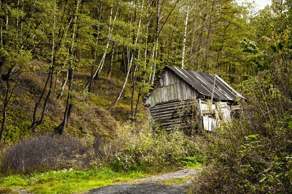 stock image Old deserted house in the forest