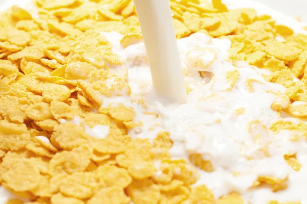 Milk splashing into cornflakes — Stock Photo, Image