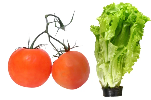 Two tomatoes and lettuce in a pot — Stock Photo, Image