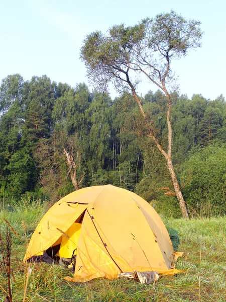 Tenda gialla — Foto Stock