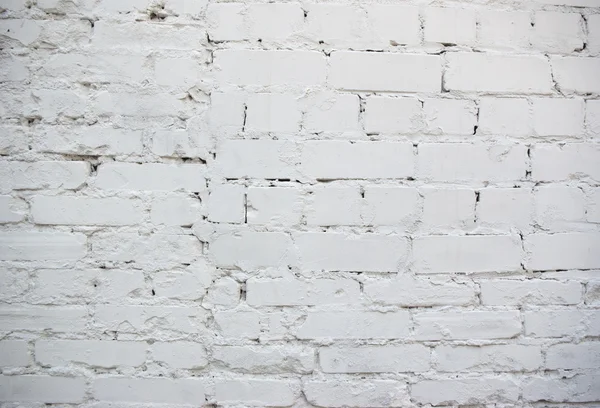 Mur en brique blanche — Photo
