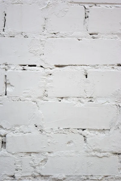 白砖墙 — 图库照片