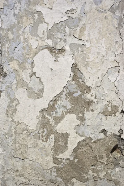 Brown cement wall texture for your design — Stock Photo, Image