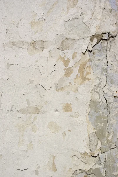 Tasarımınız için kahverengi çimento duvar dokusu — Stok fotoğraf