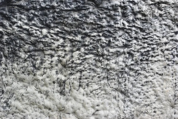Siyah-beyaz buruşuk soyut doku — Stok fotoğraf