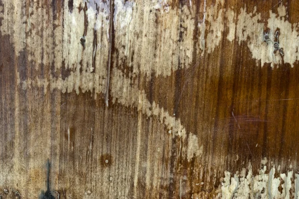 Tekstur kayu vintage — Stok Foto