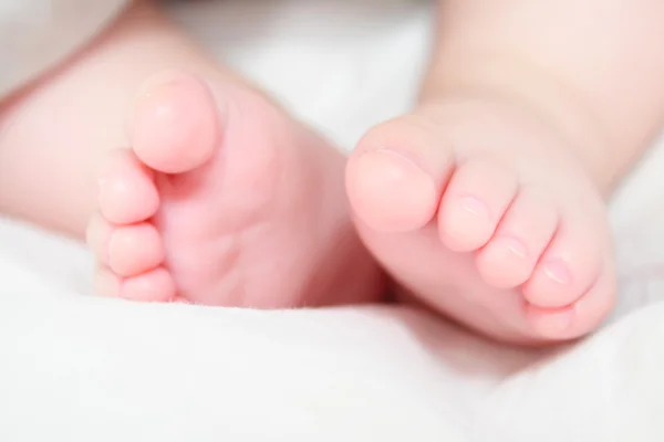 Feet of the baby — Stock Photo, Image