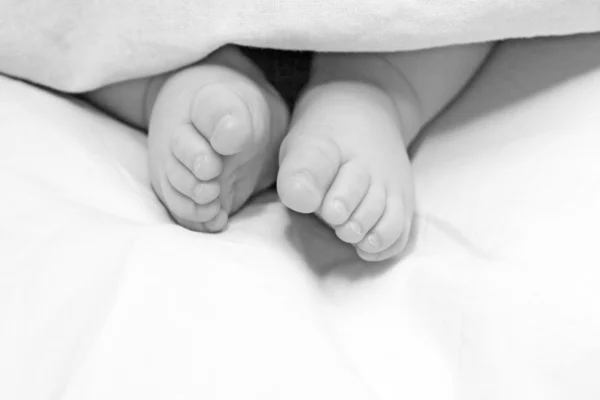 Feet of the baby — Stock Photo, Image