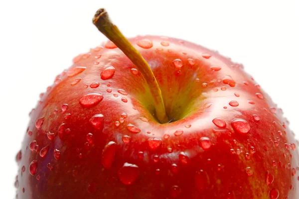Jablka — Stock fotografie