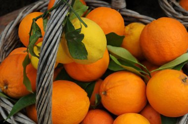 Closeup Oranges and Lemons in the Basket clipart