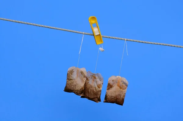 Sacos de chá na corda no sol — Fotografia de Stock