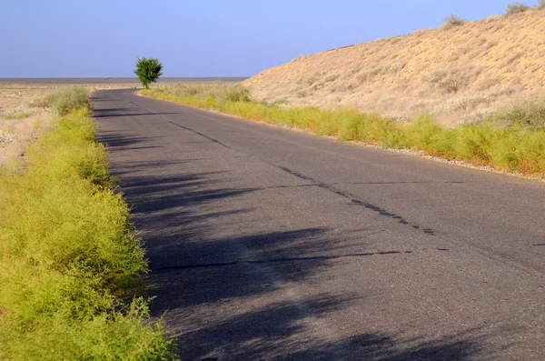 Motor Road Across Savanna — Stock Photo, Image