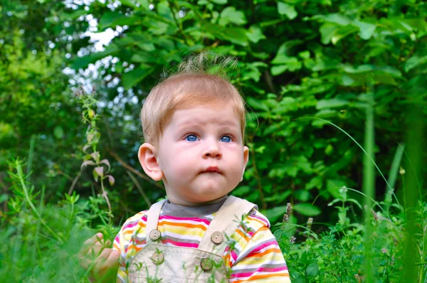 stock image Child