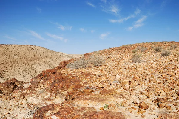 Desierto Negev — Foto de Stock