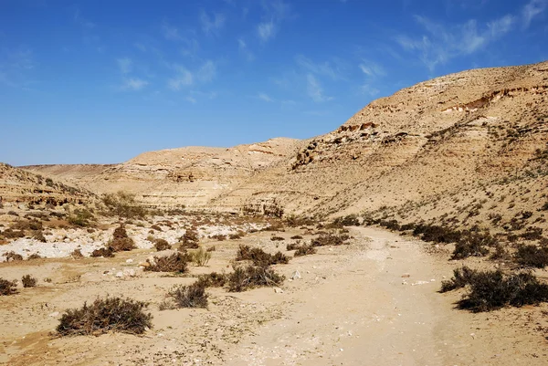 Пустелі Негев — стокове фото