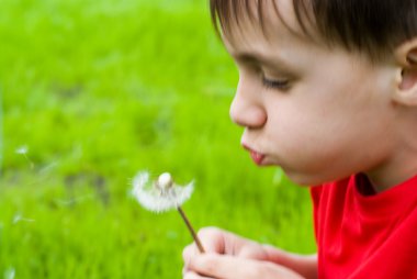 Şişirme dandelion üzerinde çocuk