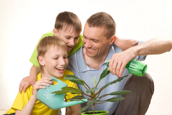 父と子供たちが花に水をまく — ストック写真