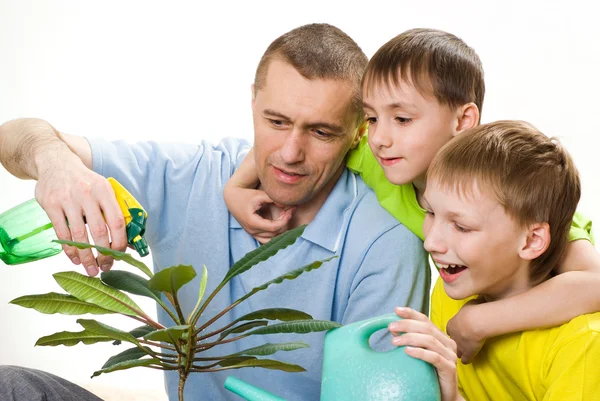 Отец и дети поливают цветы — стоковое фото