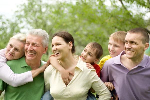 Large family in the summer park — Stock Photo, Image
