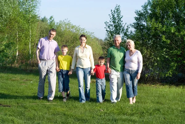 Счастливая семья из шести человек на природе — стоковое фото