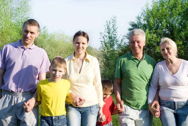 Большая семья в парке — стоковое фото