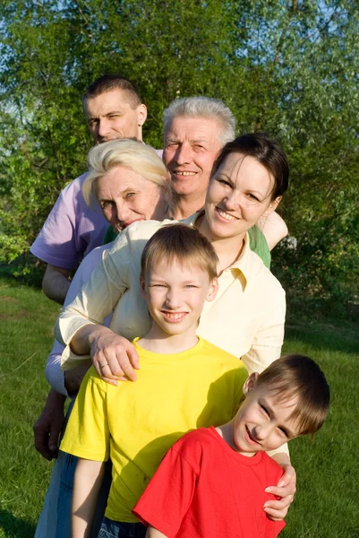 Large family in the park — Stock Photo, Image