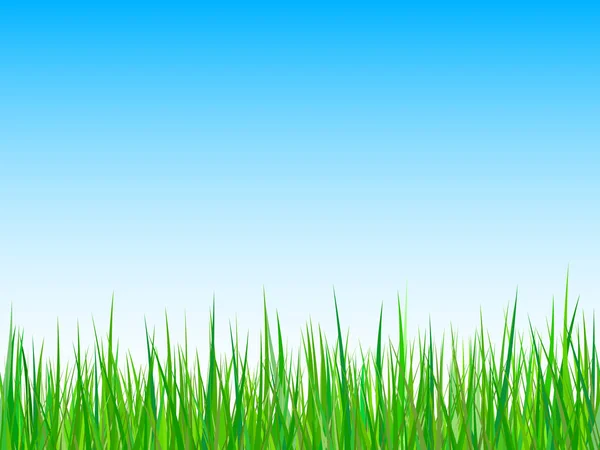 Seamless grass on a blue sky background — Stock Photo, Image