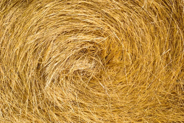 stock image Hay bale