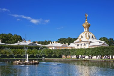 Fountain in Peterhof. St. Petersburg. Russia clipart