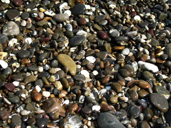 Peeble stones — Stock Photo, Image