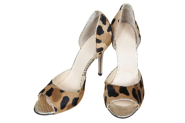 Spotty scarpe femminili — Foto Stock