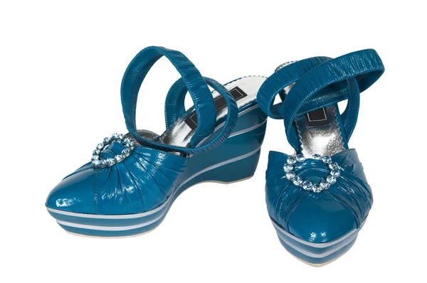 Donker blauwe vrouwelijke schoenen — Stockfoto