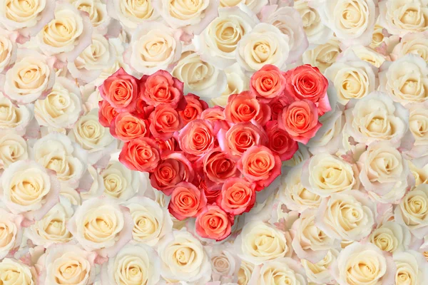 Heart of roses on a background of roses — Stock Photo, Image