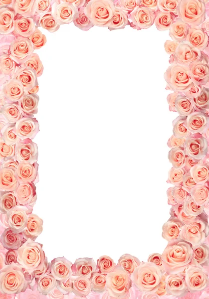 Frame of roses — Stock Photo, Image