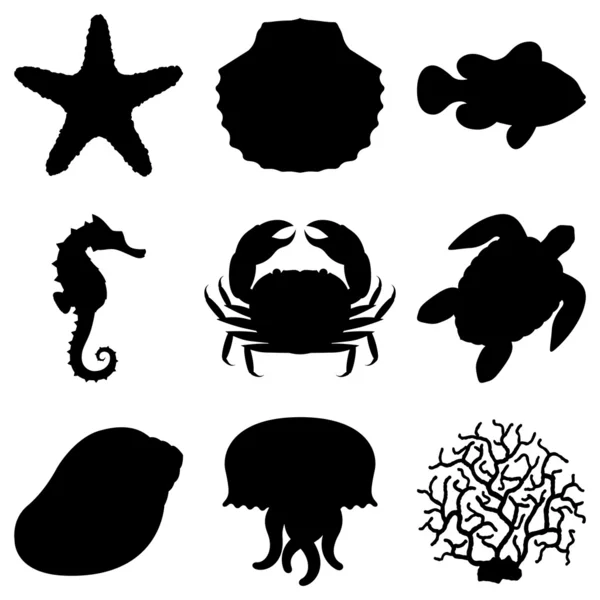 Animales marinos . — Archivo Imágenes Vectoriales