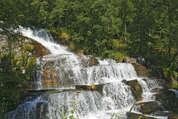 Водопад в лесу — стоковое фото